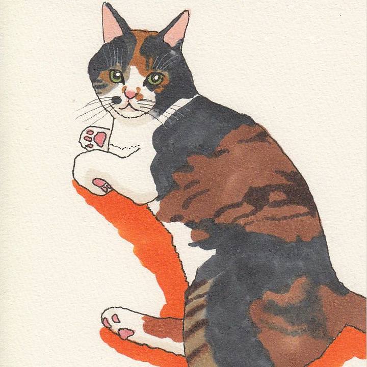 Cd2b623f 8786 47a8 aadb d597b2f5bc40 1534158522884