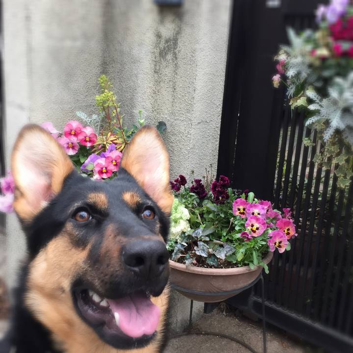 Cd2b8809 e338 475c aa2d 778cd46b6e67 1521428973781