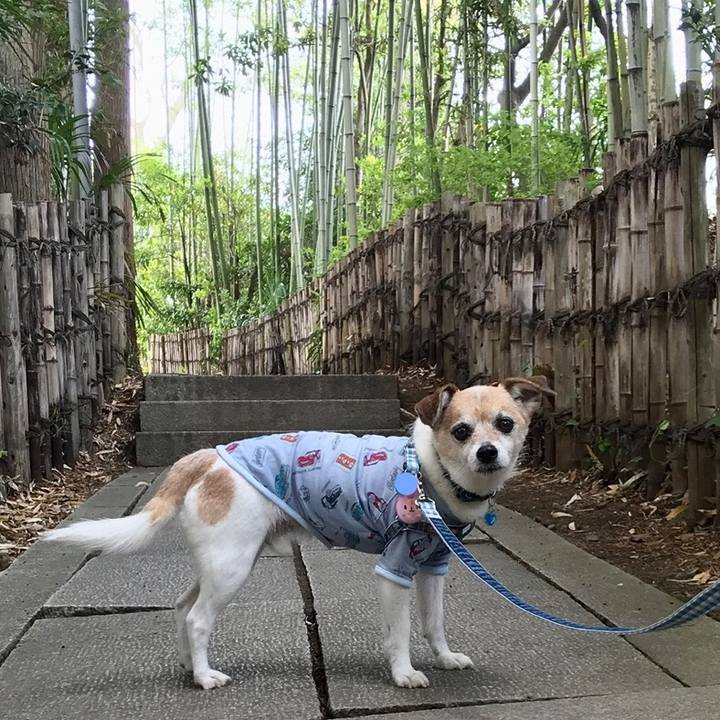 Cd2b9123 2ab1 4886 9c5d 28408846ff1b 1650714833690