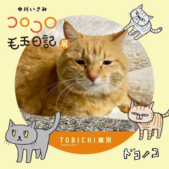 Cd2be897 f79b 4f0c a860 fddc9bfe0e14 1740269785380