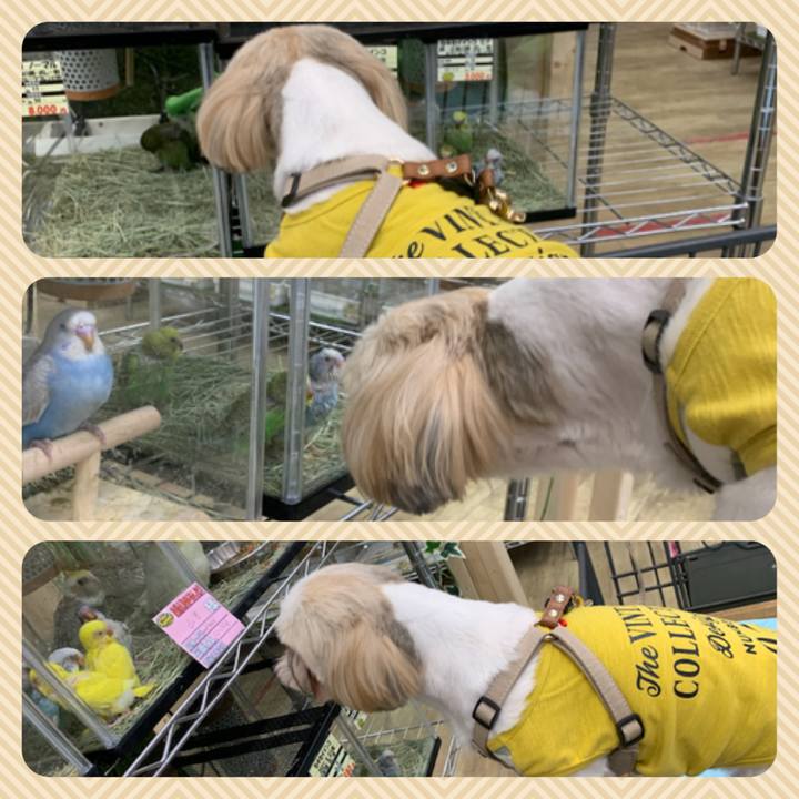 Cd2bf2a9 289c 4a46 a1f8 7f0bad39d630 1618659631659