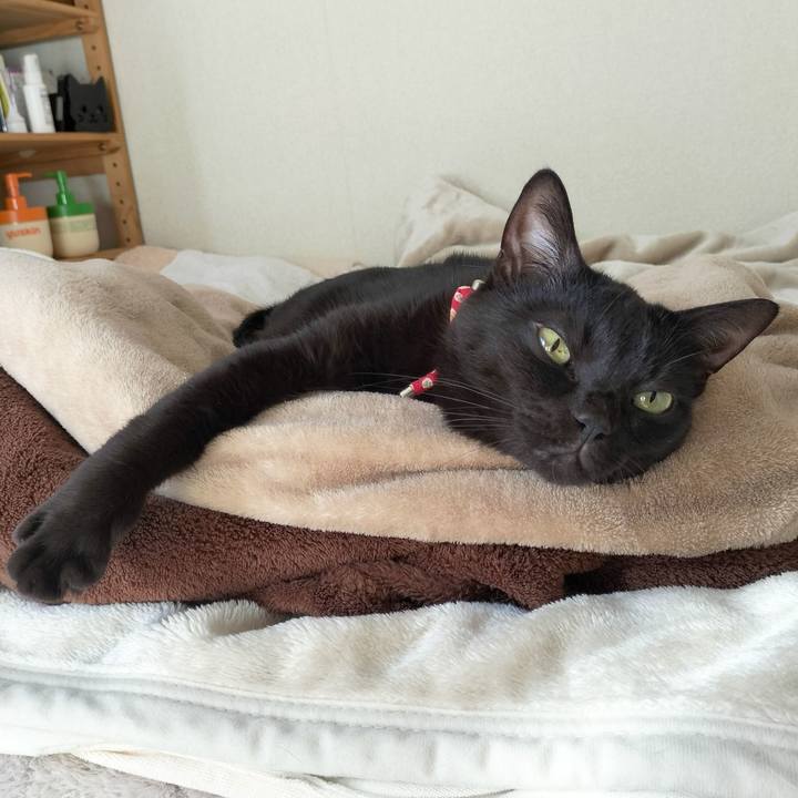 Cd2bfb25 1637 4873 ad5b 2fe3229b00de 1676074952618