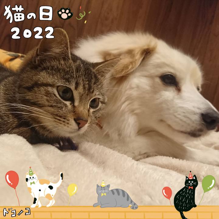 Cd2c335c 142c 4a6e aec3 7c2495c2e95f 1645492822234