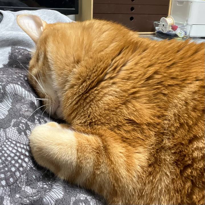 Cd2c3781 9657 41a9 91b4 87281c89a037 1674597081400