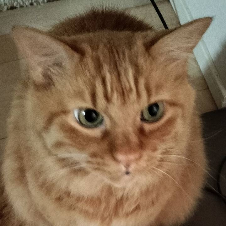 Cd2c63e2 d8ba 46b0 ad2d 2dcc84e88871 1763328671854