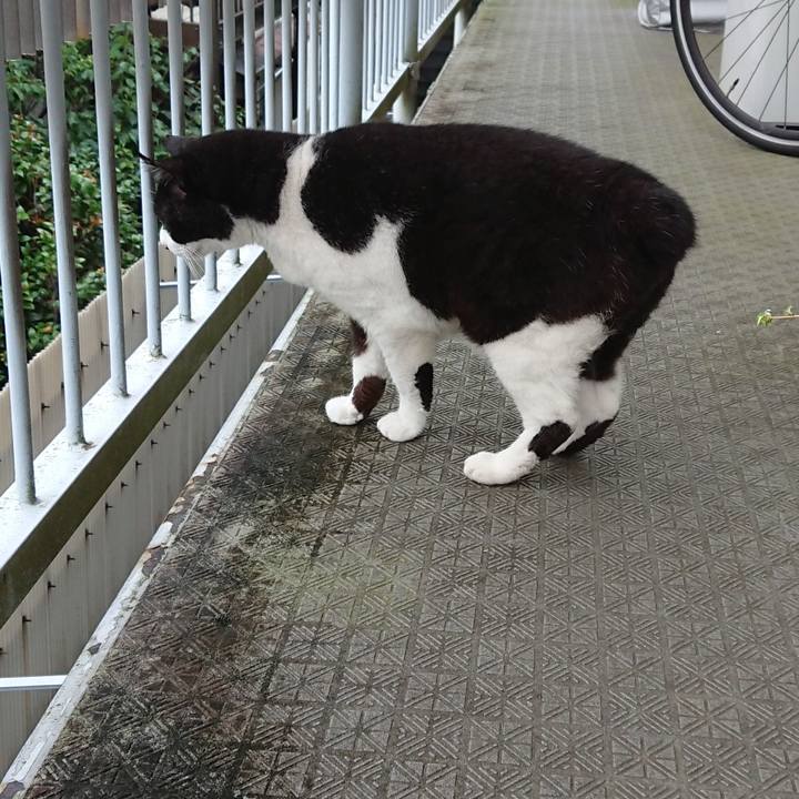 Cd2c7642 c619 445b 98bb c2b12dfac7ea 1594351603883