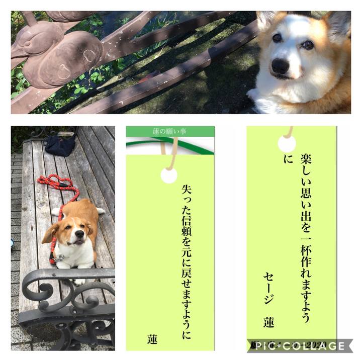 Cd2c7ff0 f307 4731 a117 e894c4114348 1594080058605