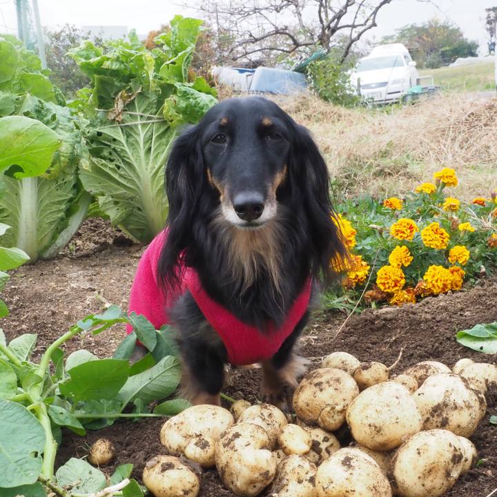 Cd2cac9d aacc 498b bdb5 2711b817ce6e 1700804889885