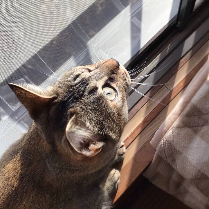 Cd2cc128 144e 4974 8c34 41fb24d25b81 1577407950440