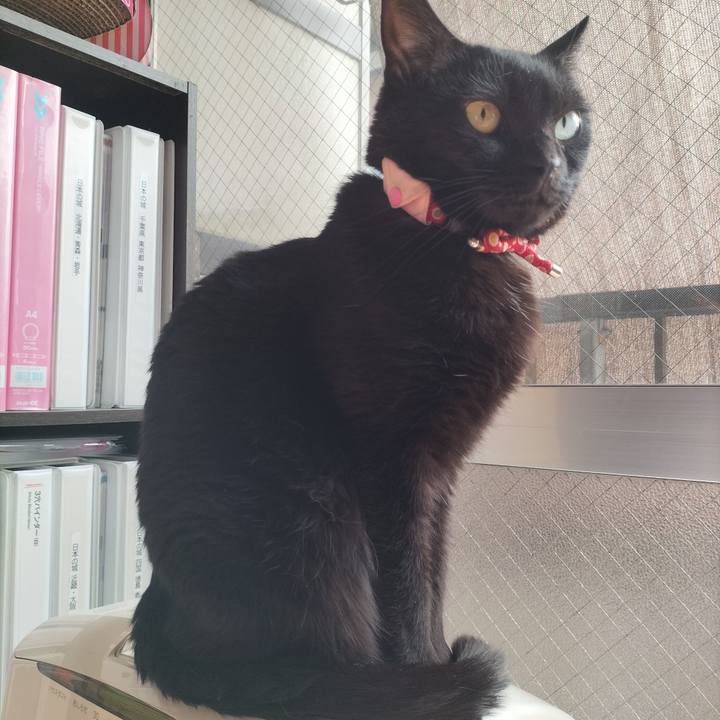 Cd2ccaef a226 4a00 a5e1 01b16204899a 1651793088256