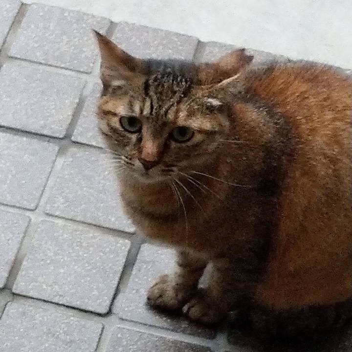 Cd2ce117 8e34 447d a035 f66aecfa3eec 1594982432451