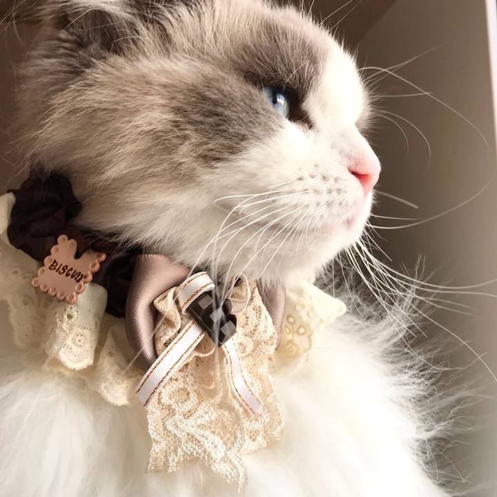 Cd2d076f adba 4271 ad77 78f8c6e520c6 1610258810471