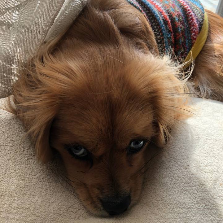 Cd2d3ee0 5849 4c9d adad 123d0093fd12 1550968756427