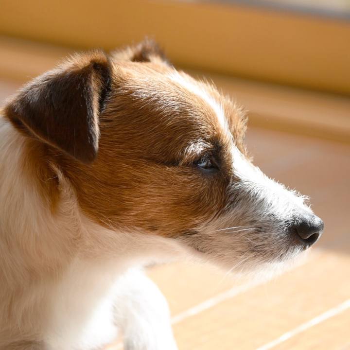 Cd2d3f2e f20f 4e45 a3b8 2c32c4e74f3c 1519129869231