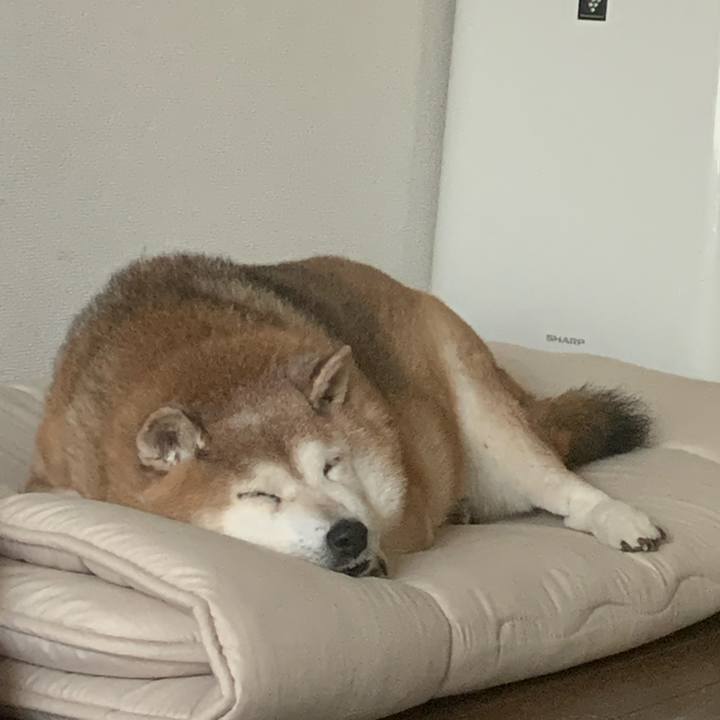 Cd2d59d0 84bf 4683 804a 3fc2b59f5ad4 1628986620578