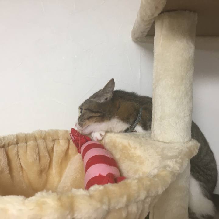 Cd2d5f50 4fad 42b8 91a3 4eeffb0c8abd 1683903535641