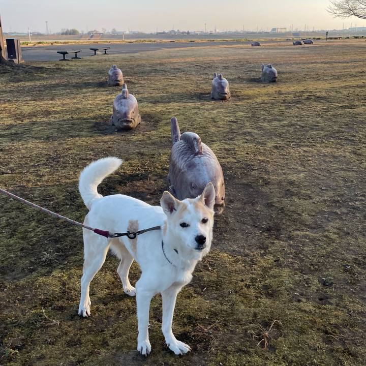 Cd2da234 cb8b 4064 916b 779d795a580d 1771842826232