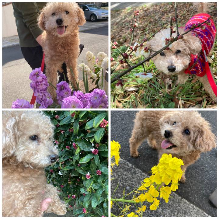 Cd2dbfdf fa4c 4975 a618 8cc9f93bf57b 1614156865880