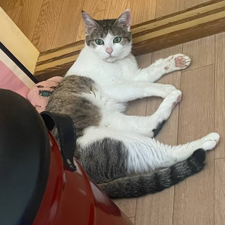 Cd2dc910 b4f1 4162 b510 b3e476c10b17 1628661599365