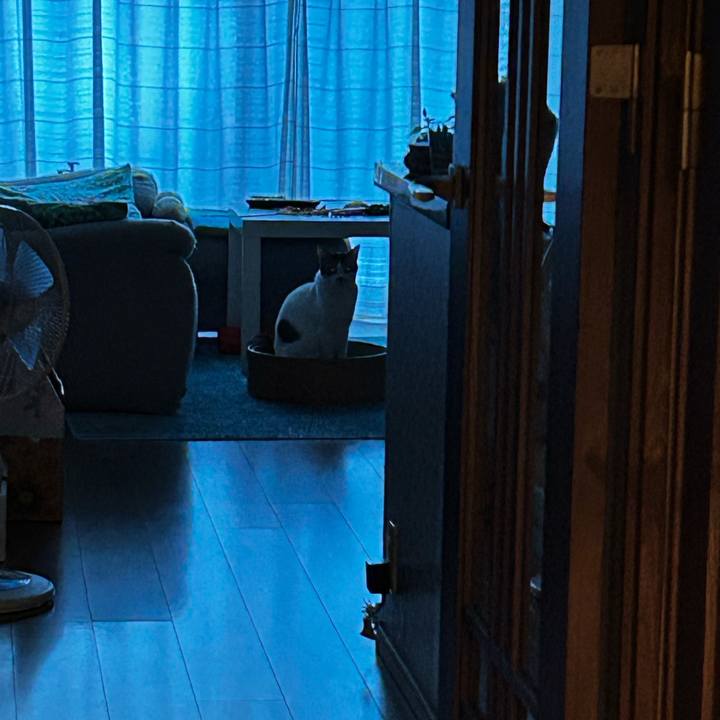 Cd2e2bdd 5d00 4b2d a1a1 03f5d32ab6d6 1758062030530