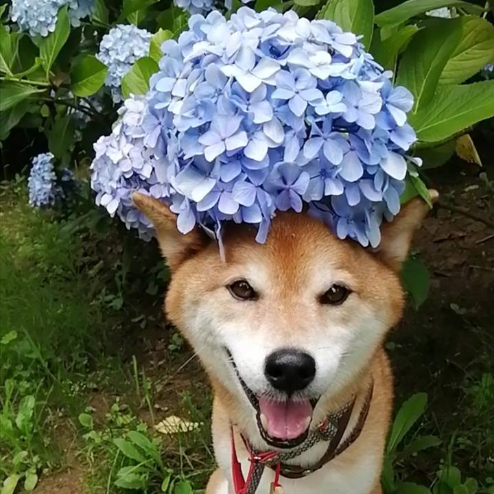 Cd2e646e 4704 4101 8266 7c8cdf93a2fa 1687507741200