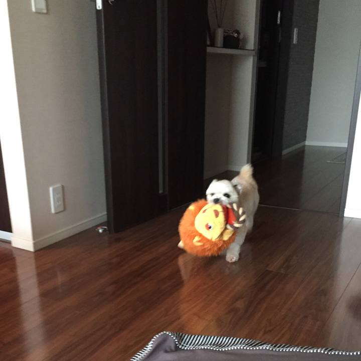 Cd2e7052 ae53 4d6c a5cc d02e548af61d 1537441966104