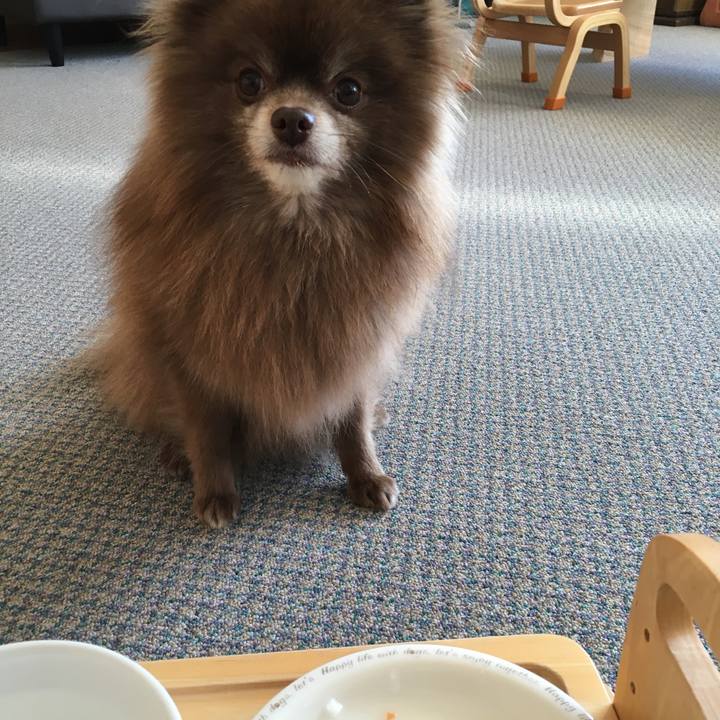 Cd2ea83d 584f 4231 9057 a0830325611d 1521511490408