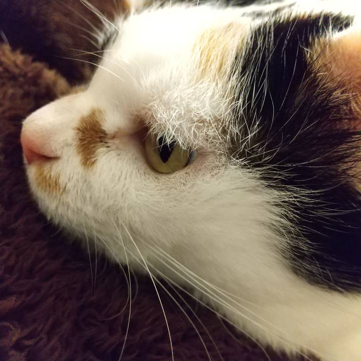 Cd2eacf4 94b3 46ab ba7e 7fcb60c7cec9 1636370004927