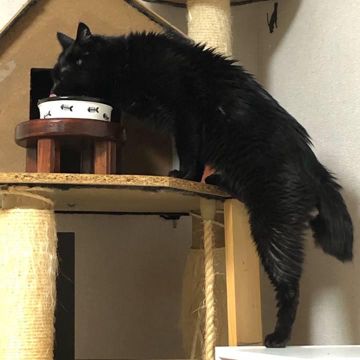 Cd2ed82a aa02 4331 ae73 c656d7997fab 1623495629556