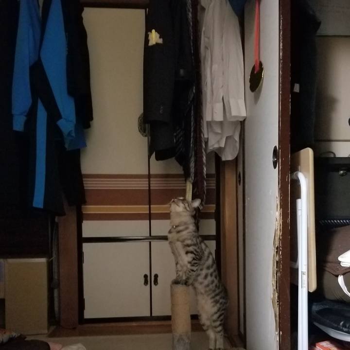 Cd2ef672 f1b4 47f6 8fe4 df3080af1215 1677626209026