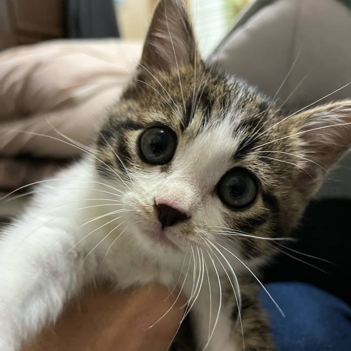 Cd2f1dd4 2854 40ee 8434 a682609bfbd7 1765362751333