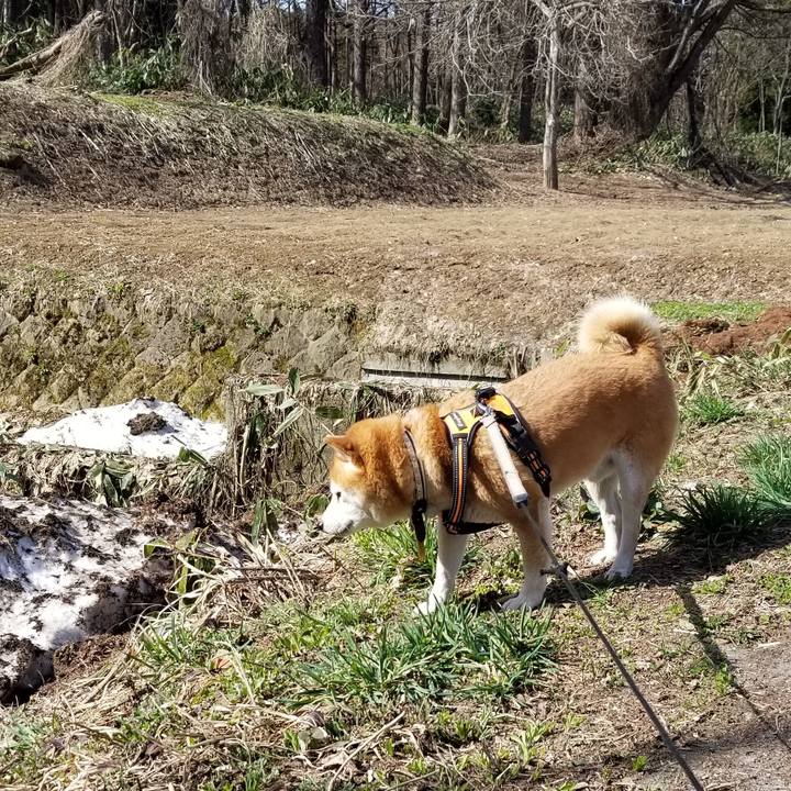 Cd2f3272 4f25 4fcc adeb e0866717bb44 1617256537552