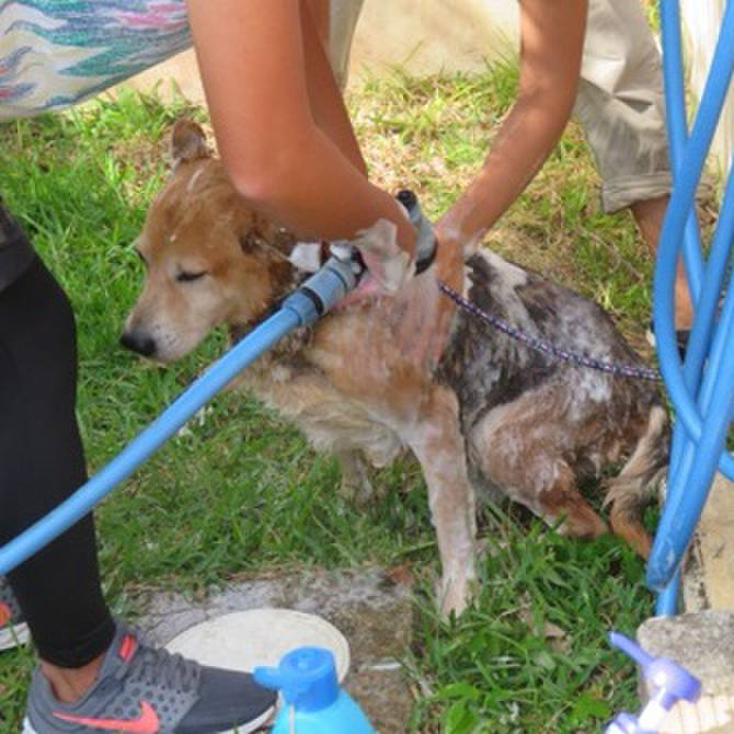 Cd2f38ec 5831 40a7 82af 112106a365ec 1573436540869