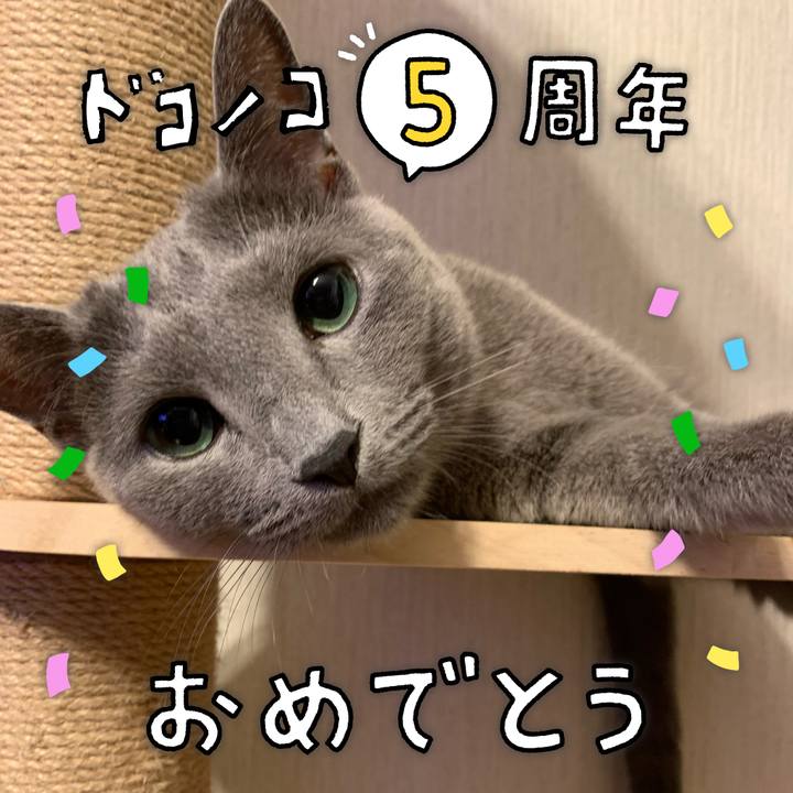 Cd2f793a a614 40ac 8222 9810a4780d86 1622878137146