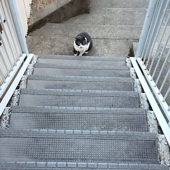 Cd2ffb87 57ee 4a8f a665 603876d8a294 1663404896795