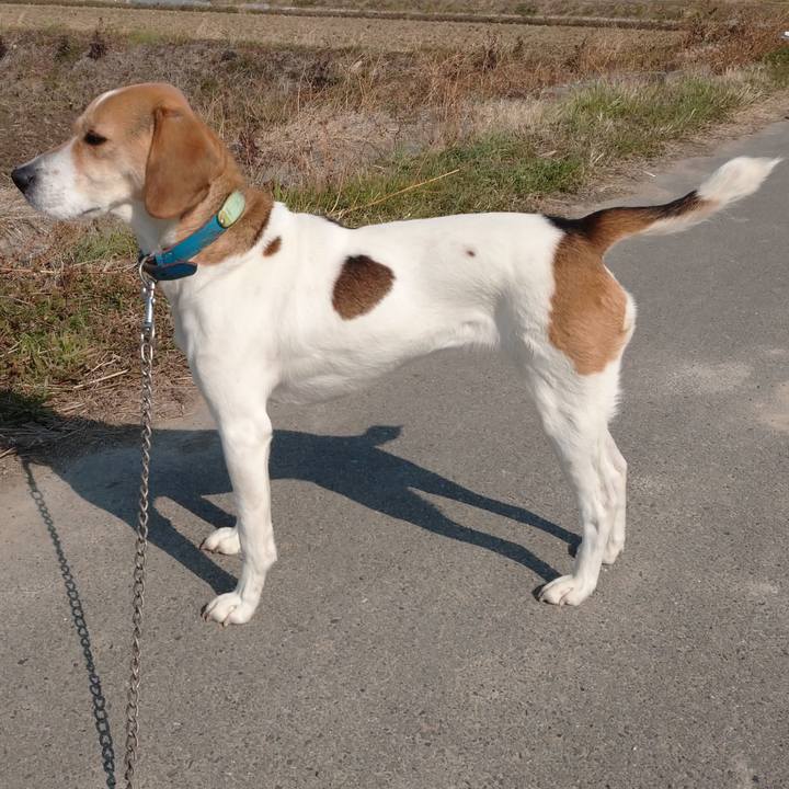 Cd30082c 0141 4f3f b4fe 97abf9fc8ac1 1613806516559