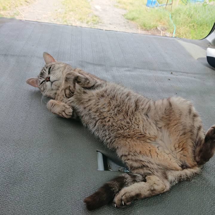 Cd30134b 404d 4a1d a7f0 1d639762747e 1559448356581