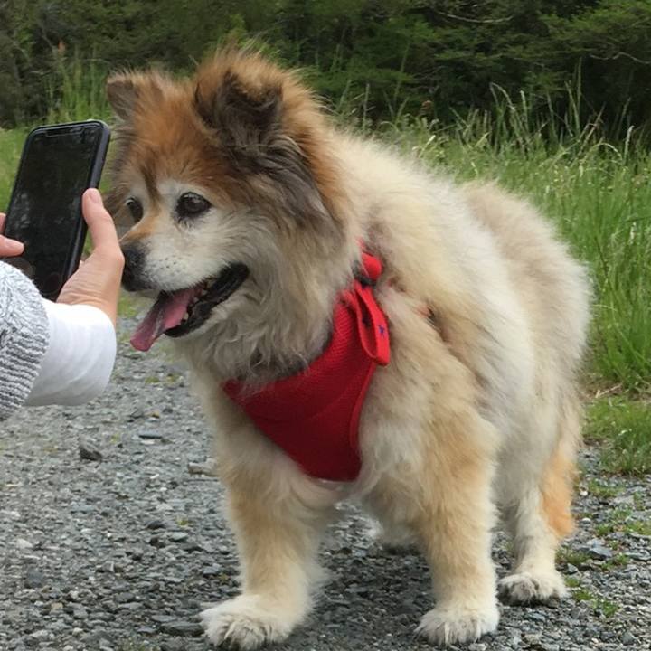 Cd301e2c 0a8a 449b b307 c099d84f8106 1588673222545