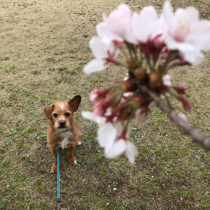 Cd302963 0cbe 4bf3 9726 2855e34f2693 1584959243765