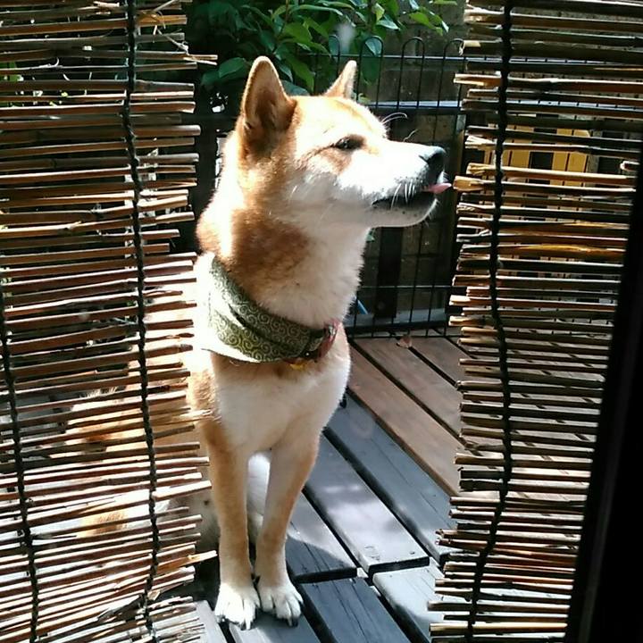 Cd305494 7b6a 4ad1 8734 1812cb39c726 1532317963207