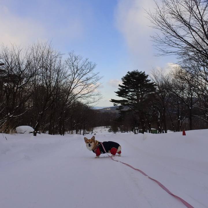 Cd308207 984d 4823 83ce 843fdbfd1bf4 1644137541388