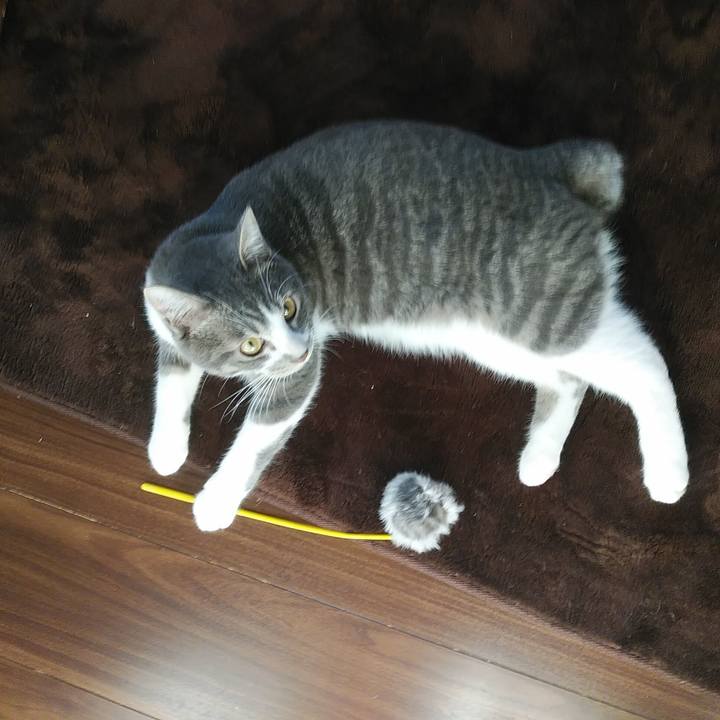 Cd30b31d 1be9 4499 a448 9982b9ee6267 1580598130723