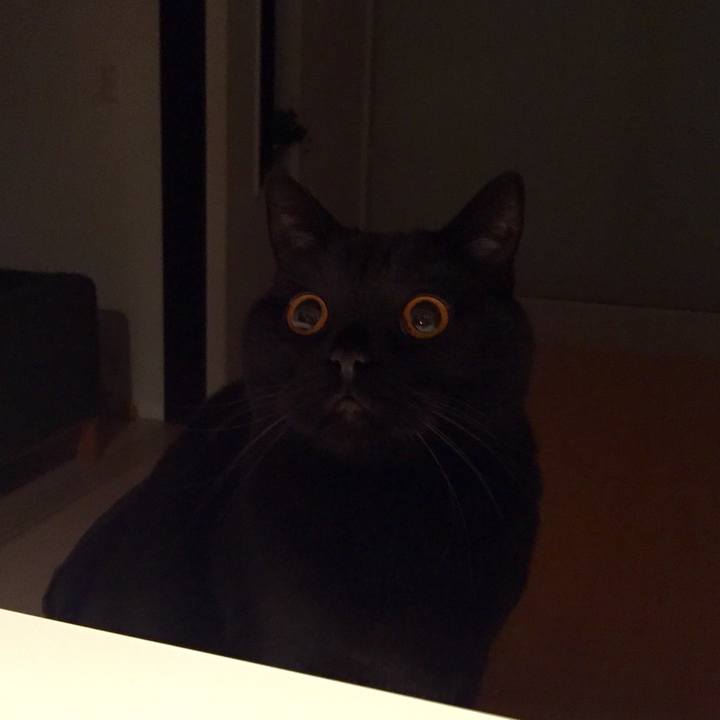 Cd30c331 1f8e 4a7f a4b0 4645b4c725d1 1553864585037