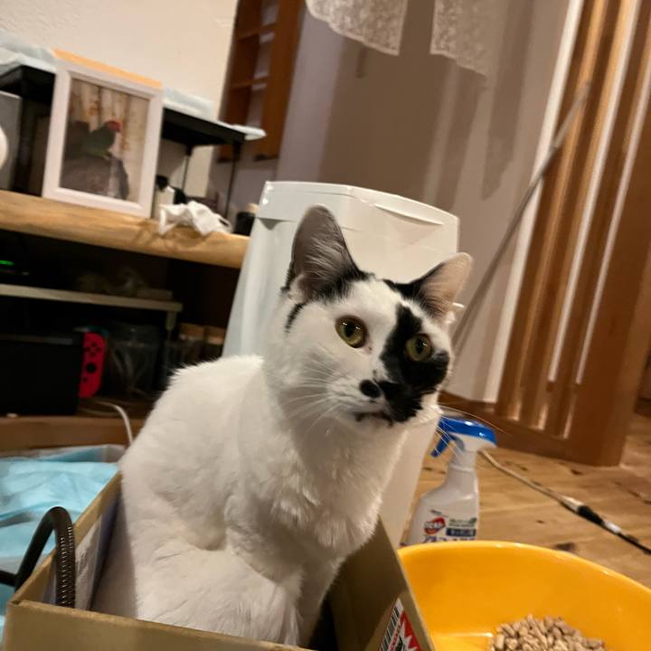 Cd30c5fb c0c5 42dc 84e0 b13df28cd988 1766761705469