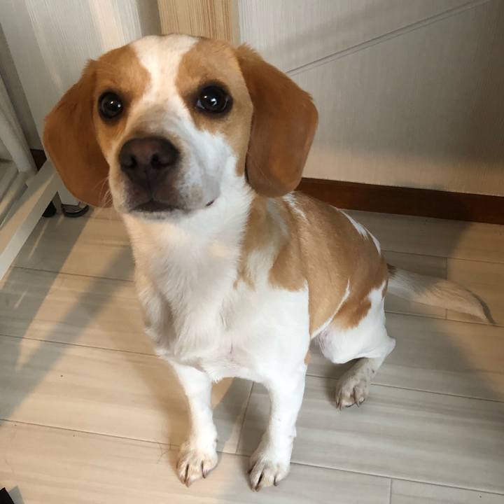 Cd30d95a e8ad 48fb a501 50e16c2d2b8e 1551878648464