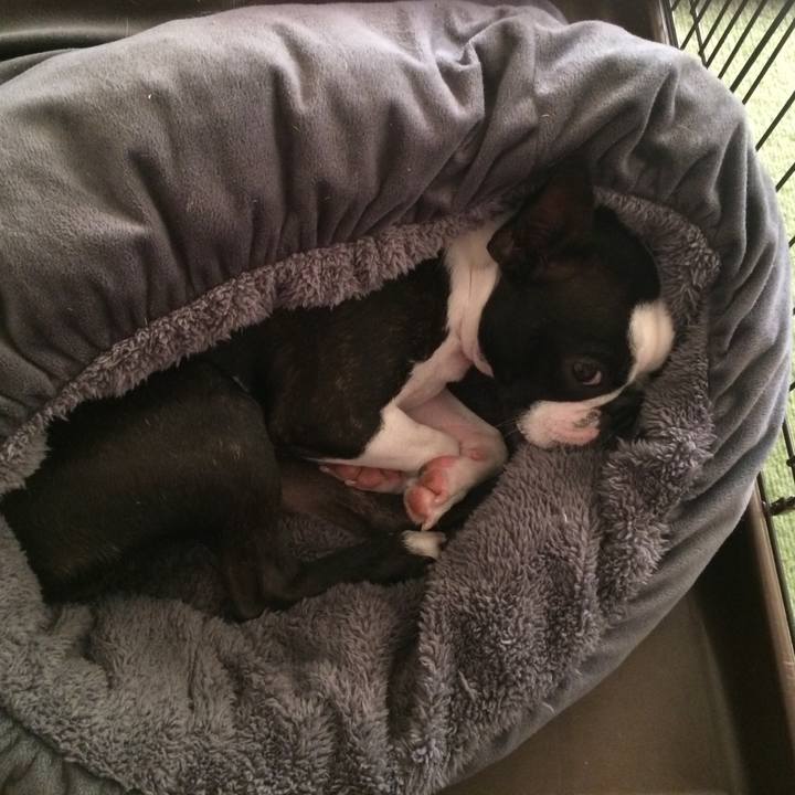 Cd30ef96 b837 4748 a3c6 79390cbc051e 1513048694244