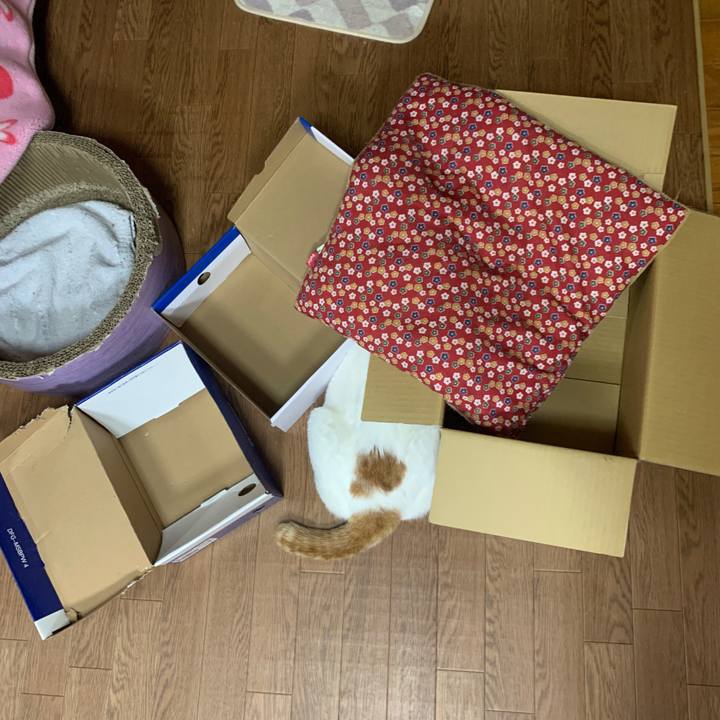 Cd3115b7 8593 41ce a611 25c8693c89ea 1648382852696