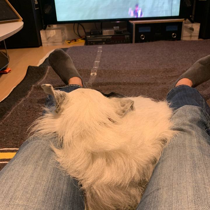 Cd31227c 2c03 4dc0 8b75 abeb84bc2a76 1678541222307