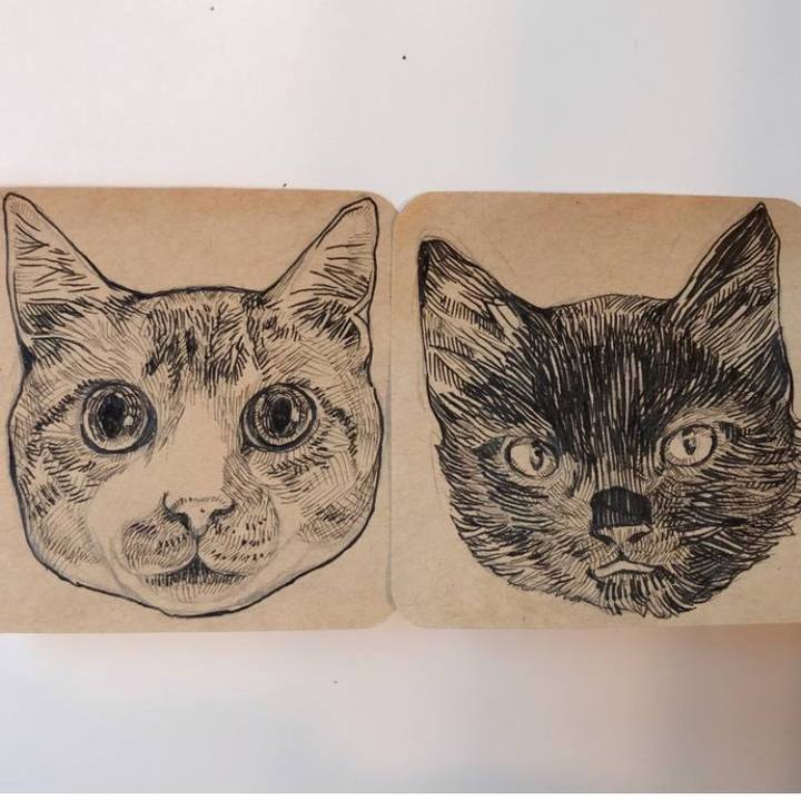 Cd313205 3b54 4517 9032 27e553cda1eb 1698317555490