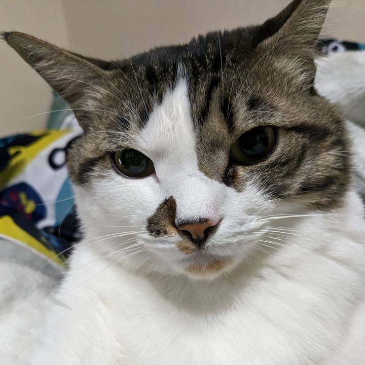 Cd314268 76d9 4e4d b870 06c2c6d2069d 1676416619874